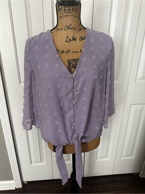 Kancystore Purple V-Neck Blouse
